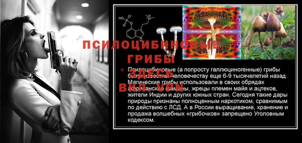 хмурый Баксан